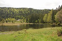 IMG 2610 : Moppedtour, NATUR, SONSTIGES, See